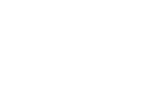 Allegiant Plumbing Services